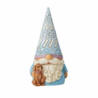 Jim Shore Gnome Better Friends Polyresin Puppy Dog Heartwood Creek 6010289