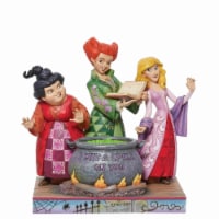 Jim Shore 8.50 Hocus Pocus I Put A Spell On You Sanderson Movie Witches