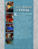 Leisure Arts I Can't Believe I'm Felting Bk