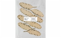 EBL Flat Wood Shape 24pc Feather