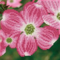 Diamond Art Kit 8x8 Beginner Dogwood