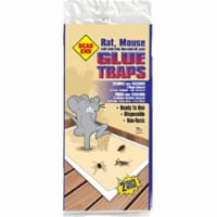 Atlantic Paste & Glue 2460 Glue Rat & Mouse Trap Dead End 2 Pack - Pack of 24