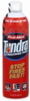 First Alert Tundra Fire Suppressant Perspective: Main
