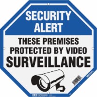 SECURITY SURVEILLANCE OCTAGON Perspective: Main