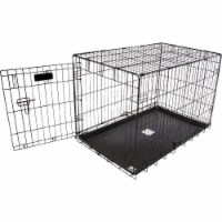 Aspen Pet Large Pet Training Crate Perspective: Main