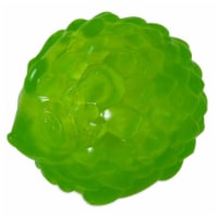 JW Pet Small Hedgehog Squeaky Ball