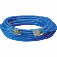 Coleman Cable Extension Cord