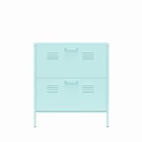 Cache 2 Door Locker Style Metal Shoe Storage Cabinet, Mint