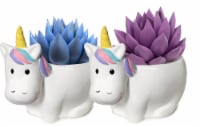 Succulent in Painted Ceramic Unicorn Pot Perspective: Main