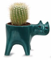 Mannerist Cat Cactus