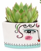 Rocket Farms Triangular Damas Ceramic Succulent Perspective: Main