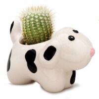 Rocket Farms Kitten & Puppy Ceramic Catus