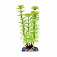 Penn Plax PP05541 Ambulia Green Medium Plant
