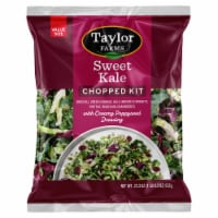 Taylor Farms® Sweet Kale Family Sized Chopped Salad with Poppyseed Dressing Salad Kit Perspective: Main