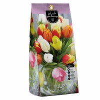 Tulip Pastel Blend Peg Pack Perspective: Main