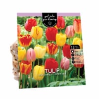 Get Into Gardening Tulip Northwest Best Mixed