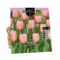 Van Zyverden Tulip Bulbs - Northwest Best Pink