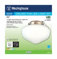 Westinghouse Antique Brass White Schoolhouse Ceiling Fan Light Kit - Total Qty: 1; Each Pack