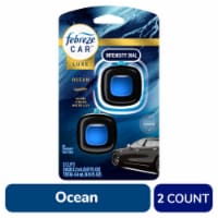  Febreze Car Air Fresheners, Linen & Sky, Odor Fighter for  Strong Odors Car Vent Clips (2 Count) : Everything Else