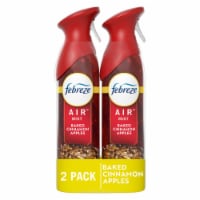 Febreze Air Effects Apple Cider Odor-Fighting Aerosol Can Air Freshener Perspective: Main