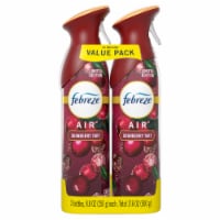 Febreze® AIR™ Limited Edition Cranberry Tart Air Refresher Perspective: Main