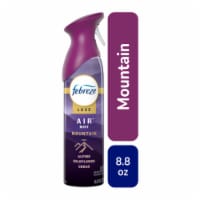 Febreze Mountain Scent Odor-Fighting Air Freshener Aerosol Can Perspective: Main