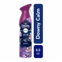 Febreze Air Effects Odor-Fighting Air Freshener Downy Calm Perspective: Main