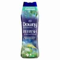 Downy® Infusions Birchwater & Botanicals Refresh In-Wash Scent Booster Beads Perspective: Main