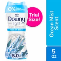Downy Light Ocean Mist In-Wash Scent Booster Beads Perspective: Main
