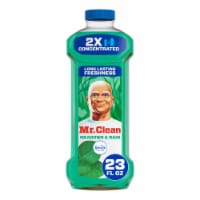Mr. Clean 2X Concentrated Febreze Meadows & Rain Scent Multi Surface Cleaner