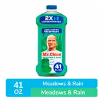 Mr. Clean Liquid Dilute 2X Concentrated Multi-Surface Cleaner Febreze Meadows & Rain Perspective: Main