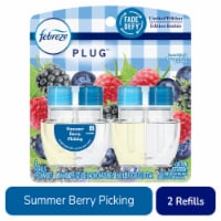 Febreze Odor-Fighting PLUG Air Freshener Oil Refills, Summer Berry Picking Perspective: Main