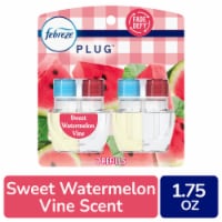 Febreze Plug Air Freshener Odor-Fighting Scented Oil Dual Refill Sweet Watermelon Vine Perspective: Main