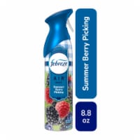 Febreze Air Mist Odor-Fighting Air Freshener Summer Berry Picking Perspective: Main