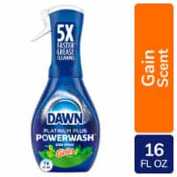 Dawn Platinum Powerwash Starter Kit Gain Original Scent Spray Dish Soap Perspective: Main