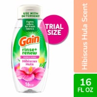 Gain Rinse and Renew Fabric Rinse, Hibiscus Hula, 16 fl oz, Odor Fighter Perspective: Main