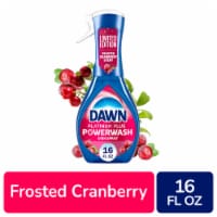 Dawn Powerwash Spray, Dish Soap, Dishwashing Liquid, Frosted Cranberry, 1 Starter Kit, 16 Fl Oz Perspective: Main