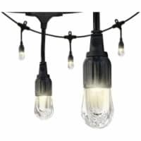 Enbrighten 31664 Cafe LED Lights 48ft 24 Acrylic Bulbs JASEN31664 1 Fry s Food Stores