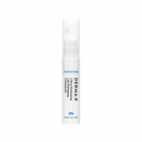 Derma-E Hydrating Lip Plumping Treatment
