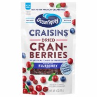 Ocean Spray Blueberry Craisins