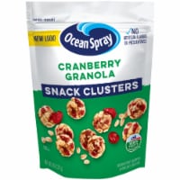 Ocean Spray Craisins Cranberry Granola Fruit Clusters Perspective: Main