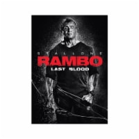 Rambo: Last Blood (2019 - DVD) Perspective: Main
