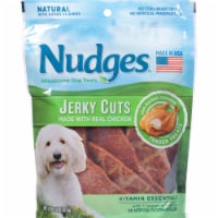 Blue Buffalo Nudges Real Chicken Jerky Cuts Wholesome Dog Treats Perspective: Main