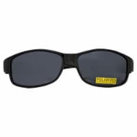 FGX Theory Black Polarized Sunglasses
