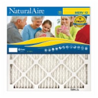 AAF Flanders 4595278 20 x 30 x 1 in. Naturalaire Polyester Synthetic Pleated Air Filter - Cas