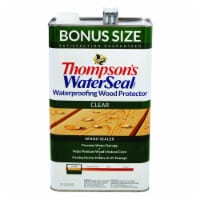 Thompsons® WaterSeal® Waterproofing Clear Wood Protector Perspective: Main