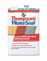 Thompson's® Waterseal® Clear Multi-Surface Waterproofer Perspective: Main