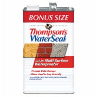 Thompsons® WaterSeal® Multi-Surface Waterproofer