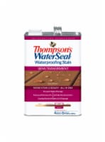 Thompson's® WaterSeal® Semi-Transparent Acorn Brown Waterproofing Stain & Sealer Perspective: Main