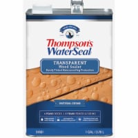 Thompsons Waterseal Transparent Wood Sealer Natural Cedar gal